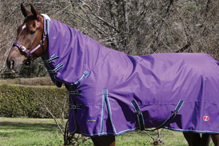 horse-rug-cleaning